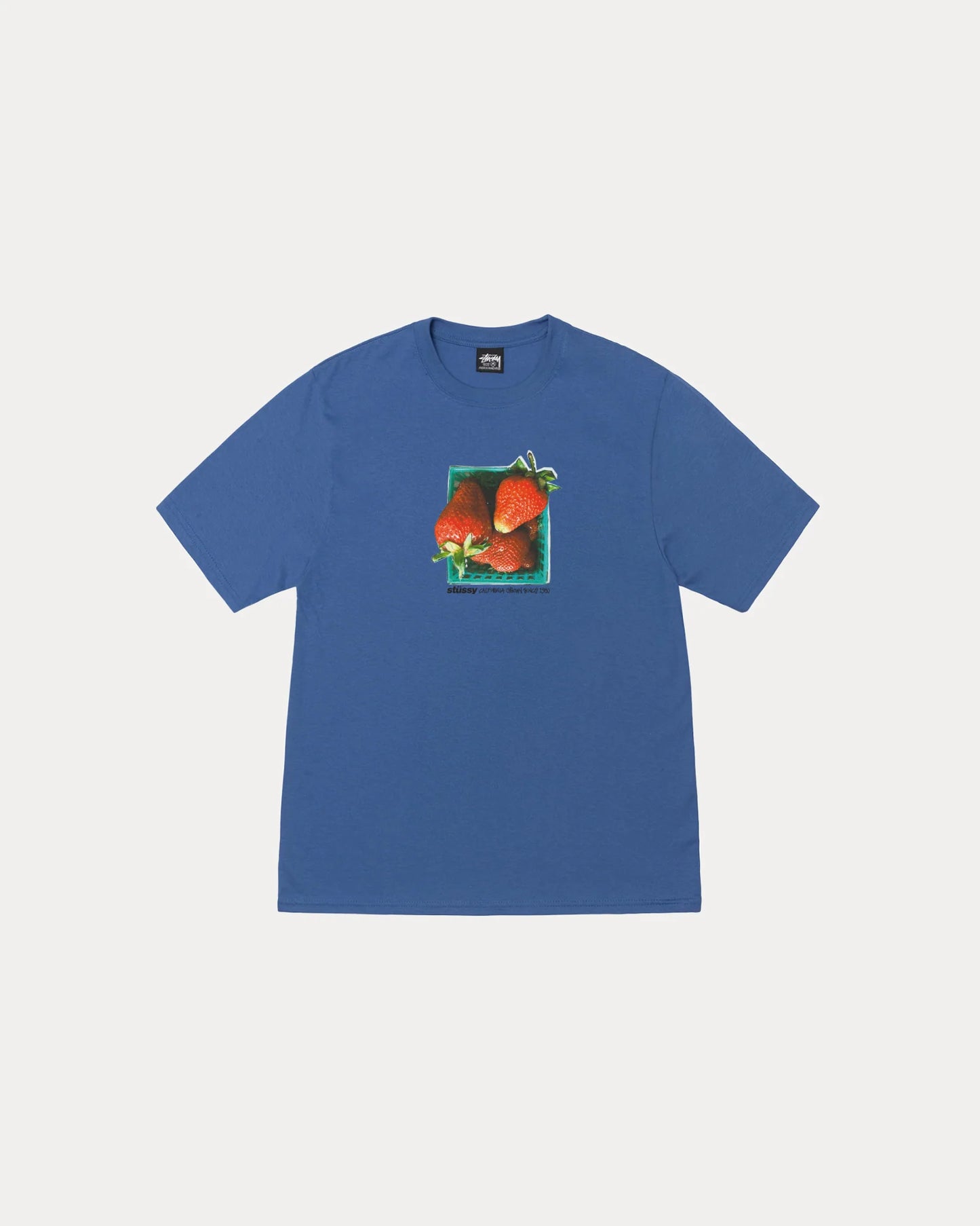 STUSSY BERRIES TEE