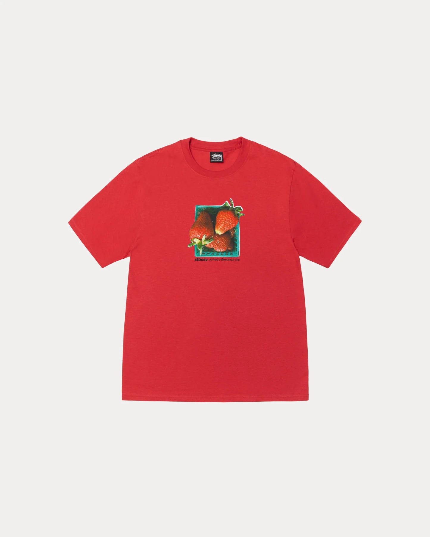 STUSSY BERRIES TEE