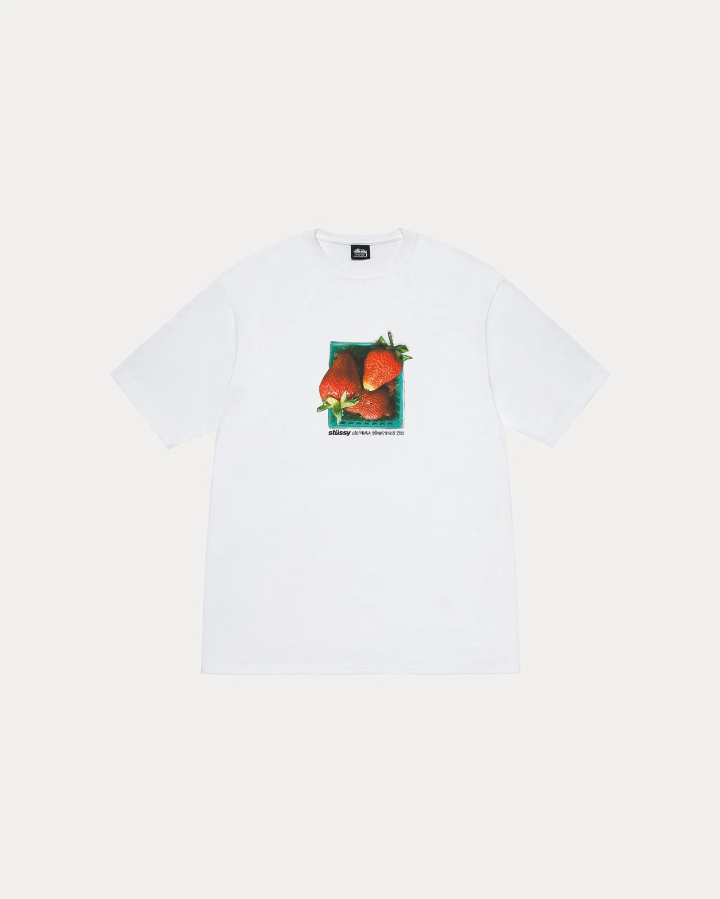 STUSSY BERRIES TEE