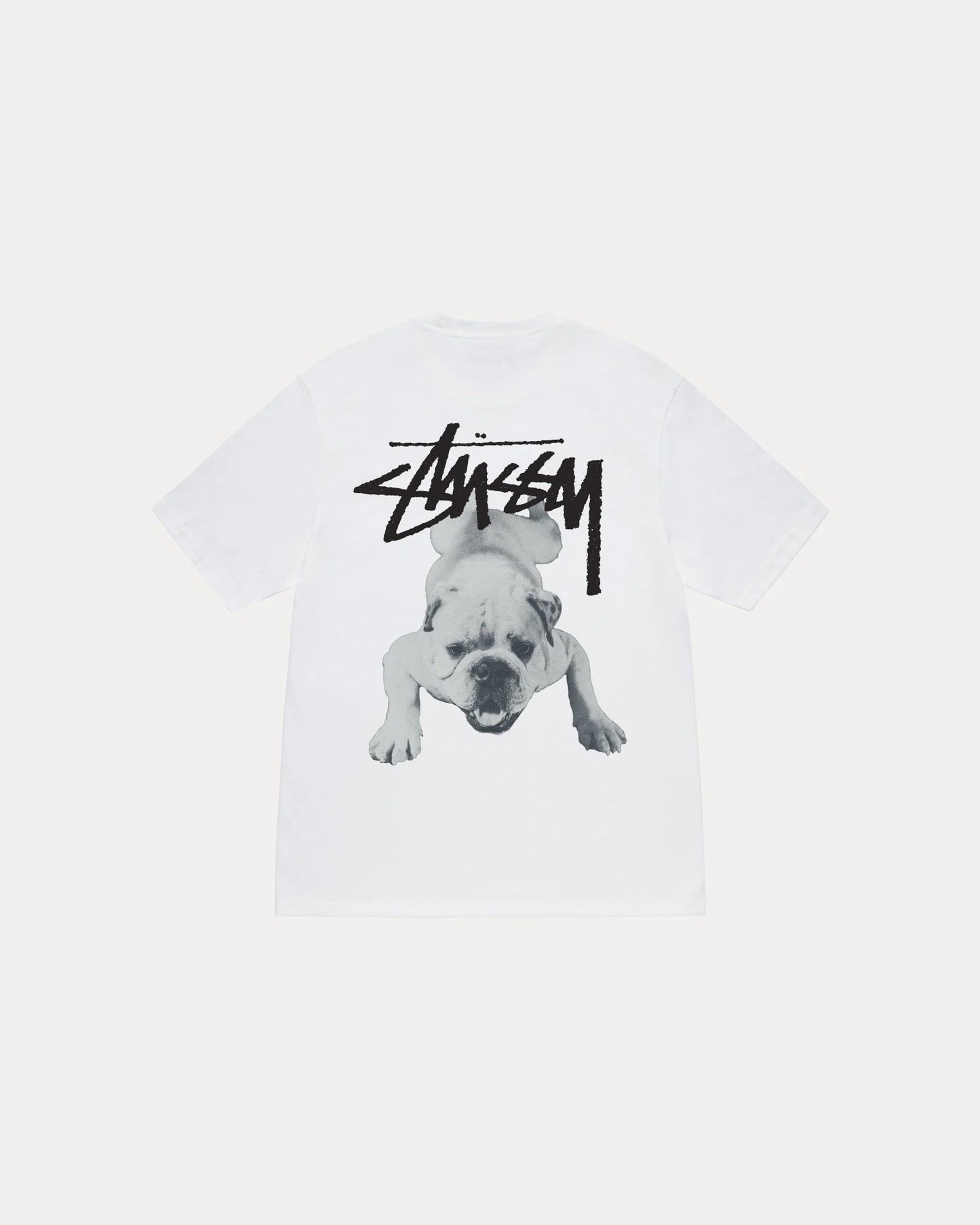 STUSSY STOCK DOG TEE
